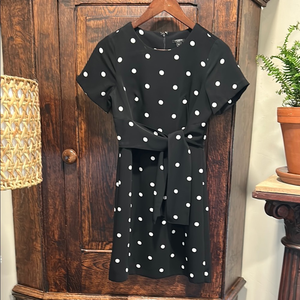 Ann Taylor Black Polka Dot Dress